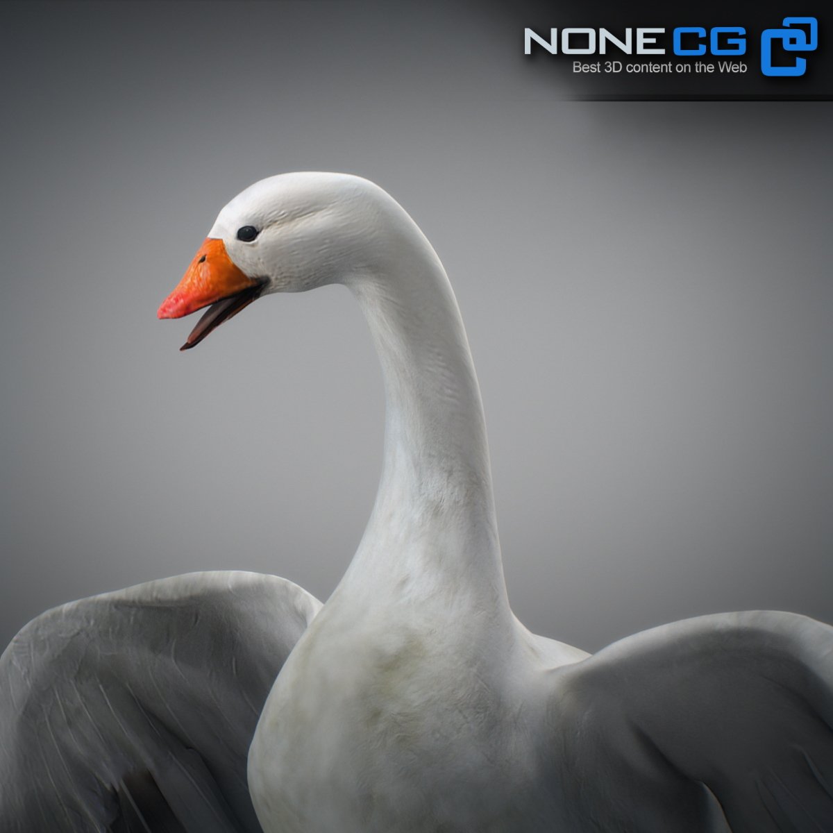 geese 031 75