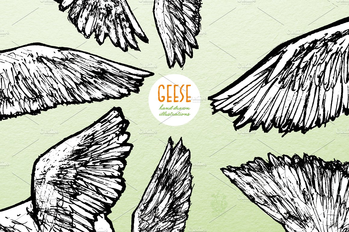 geese 03 870