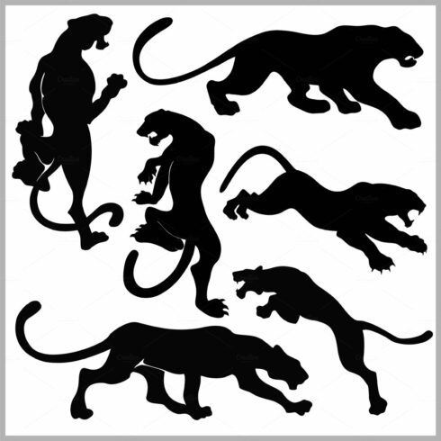 Set of Wildcats silhouettes. cover image.