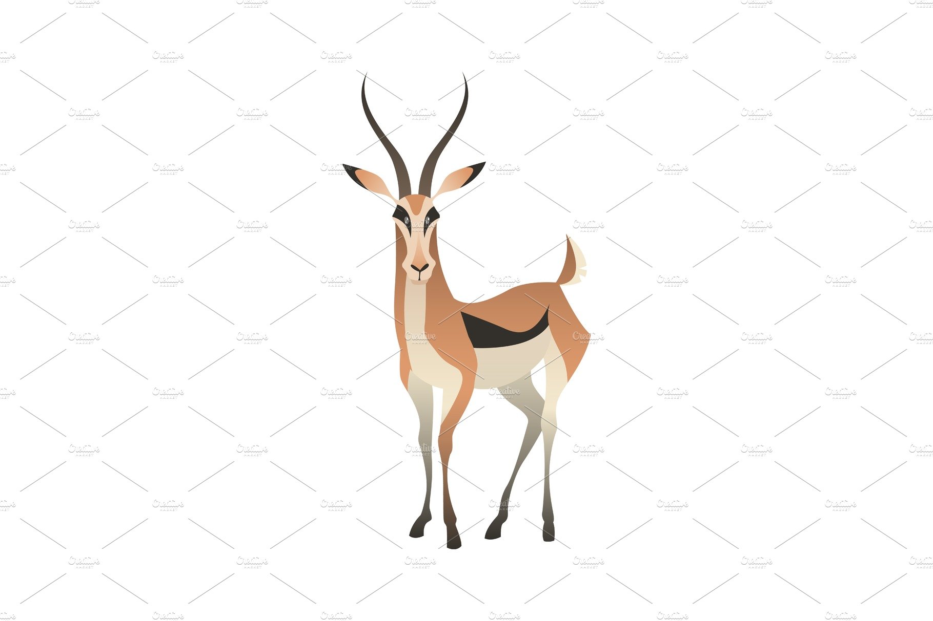 Jungle wild antelope. Gazelle cover image.