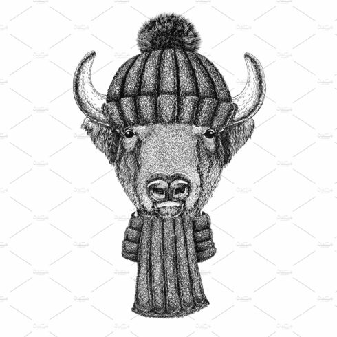 Buffalo, bison,ox, bull wearing knitted hat and scarf cover image.