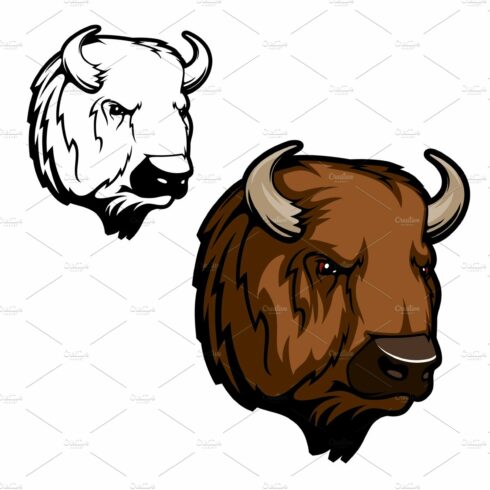 Head of bison, buffalo or wild ox cover image.