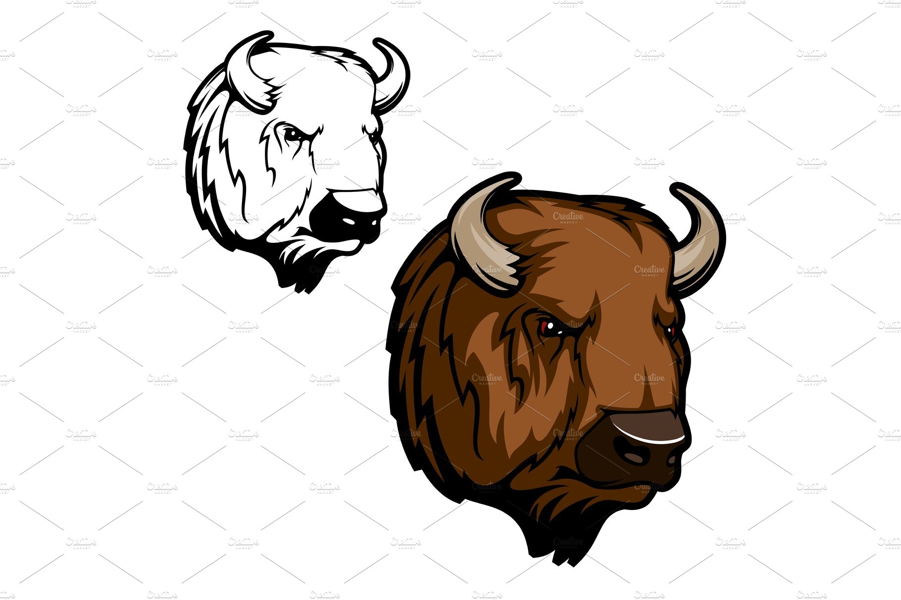 Head of bison, buffalo or wild ox cover image.