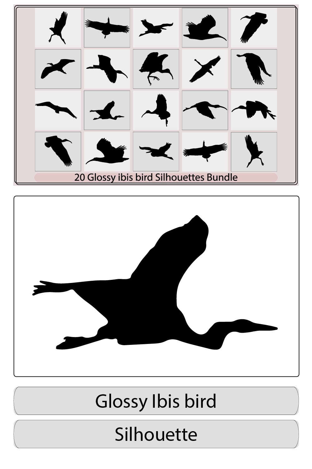 Glossy ibis bird silhouette,Glossy ibis bird silhouette bundle,Glossy ibis bird illustration,Glossy ibis bird vector, pinterest preview image.