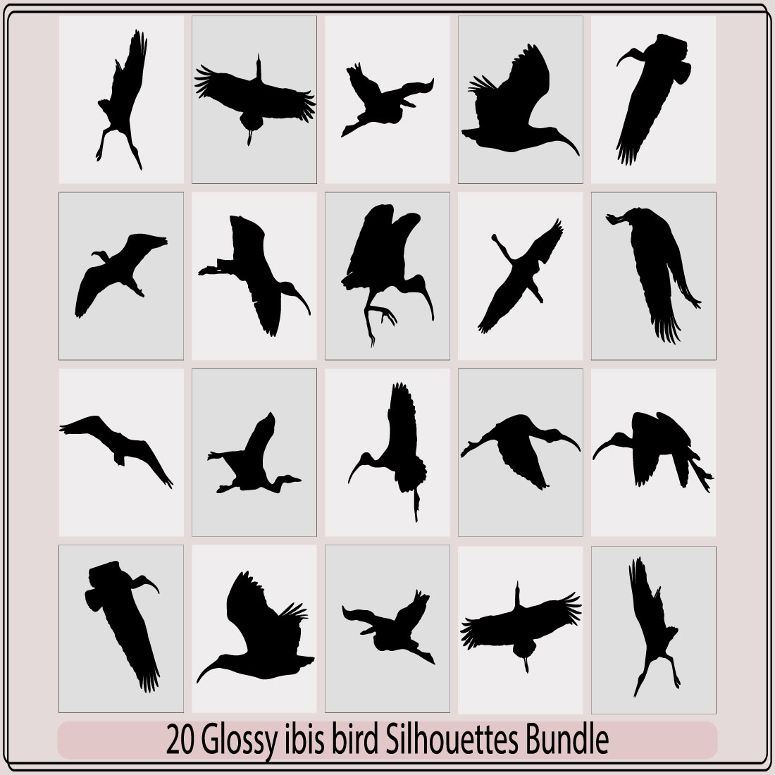 Glossy ibis bird silhouette,Glossy ibis bird silhouette bundle,Glossy ibis bird illustration,Glossy ibis bird vector, preview image.
