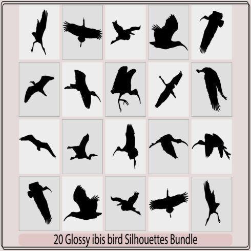 Glossy ibis bird silhouette,Glossy ibis bird silhouette bundle,Glossy ibis bird illustration,Glossy ibis bird vector, cover image.