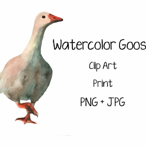 Watercolor Goose - Clip Art - Print cover image.