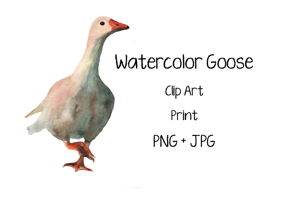 Watercolor Goose - Clip Art - Print cover image.