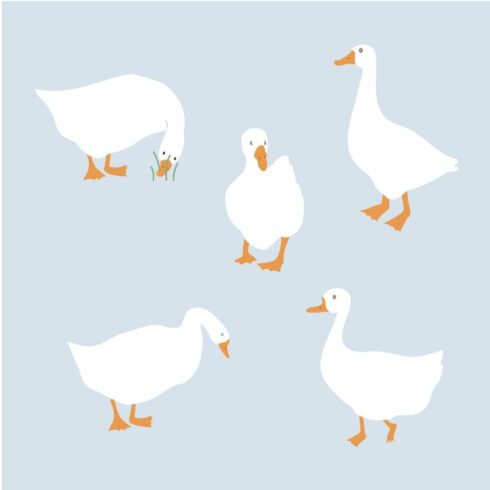 Goose isolated flat vector set cover image.