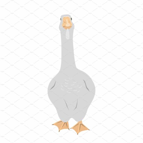 Cute big goose on white background cover image.