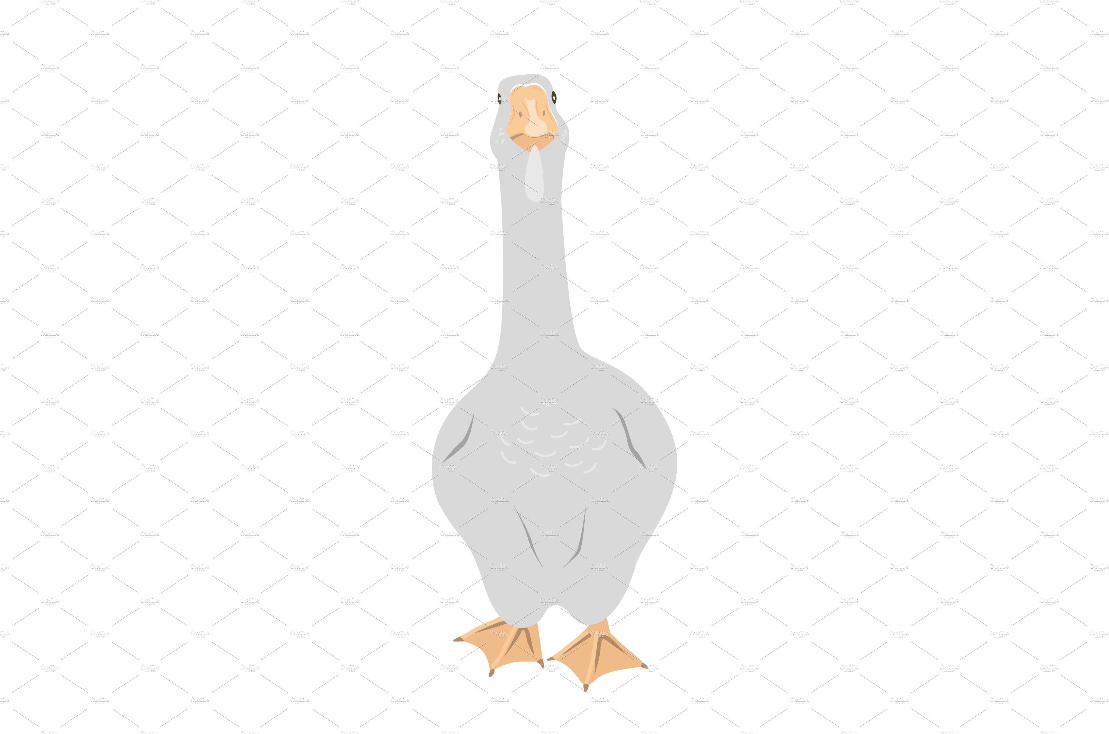 Cute big goose on white background cover image.