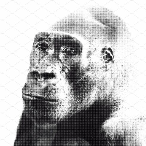 Halftone portrait of gorilla cover image.