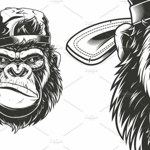 Monkey's head in a baseball cap cover image.