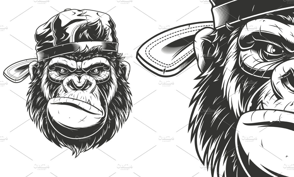 Monkey's head in a baseball cap cover image.