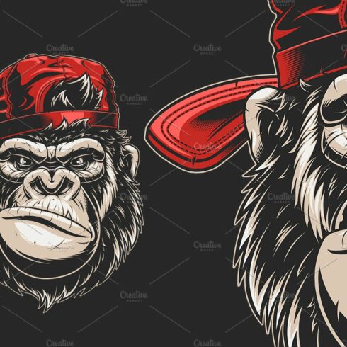 Monkey's head in a baseball cap cover image.