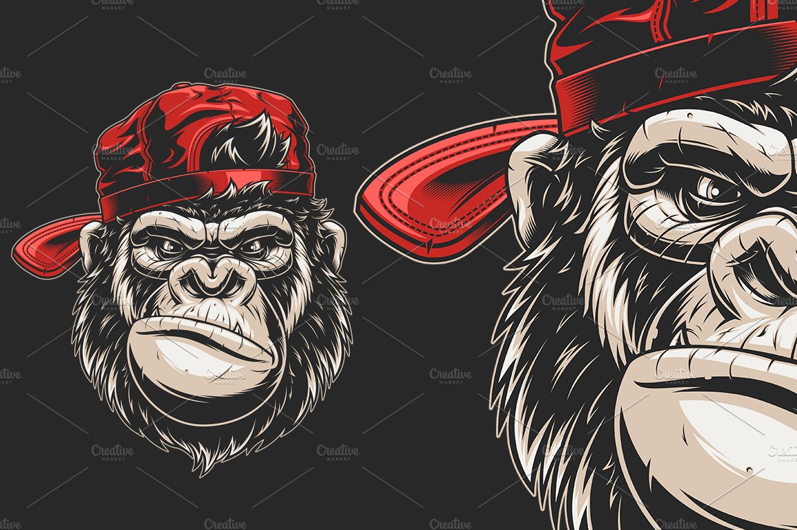 Monkey's head in a baseball cap cover image.