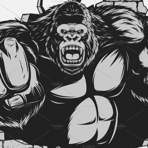 Angry gorilla cover image.