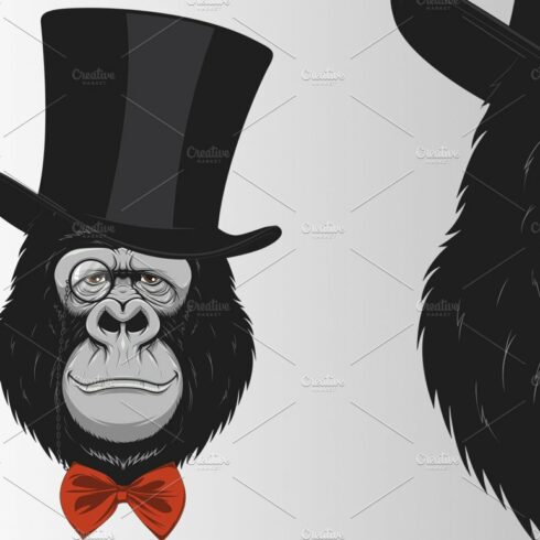 Funny monkey in a hat cover image.