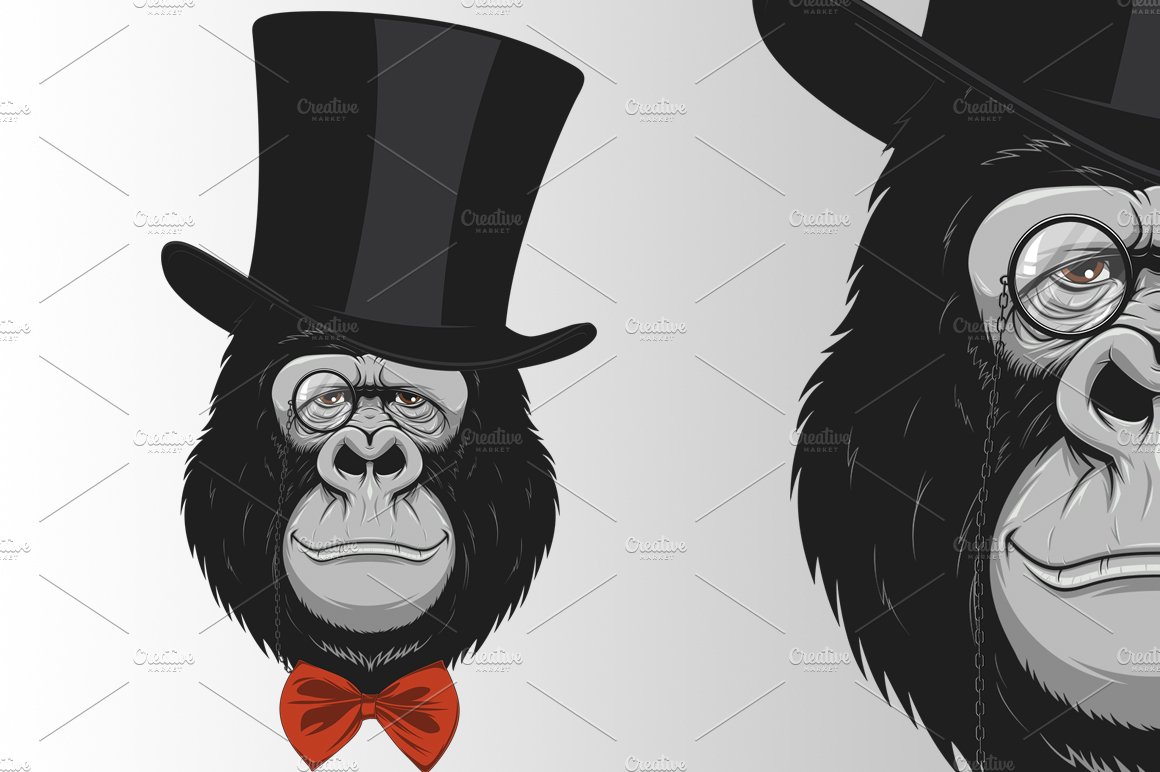 Funny monkey in a hat cover image.