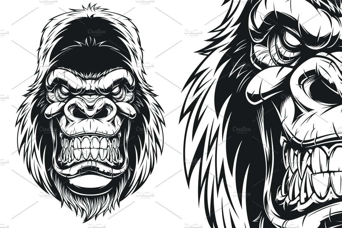 Ferocious gorilla head cover image.