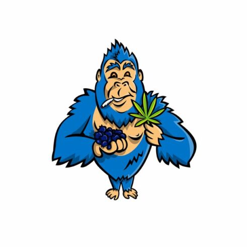 Gorilla Holding Blueberry Cannabis cover image.