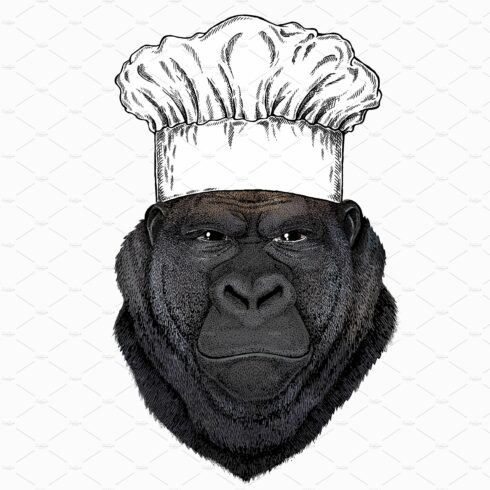 Gorilla head. Chef cook hat cover image.