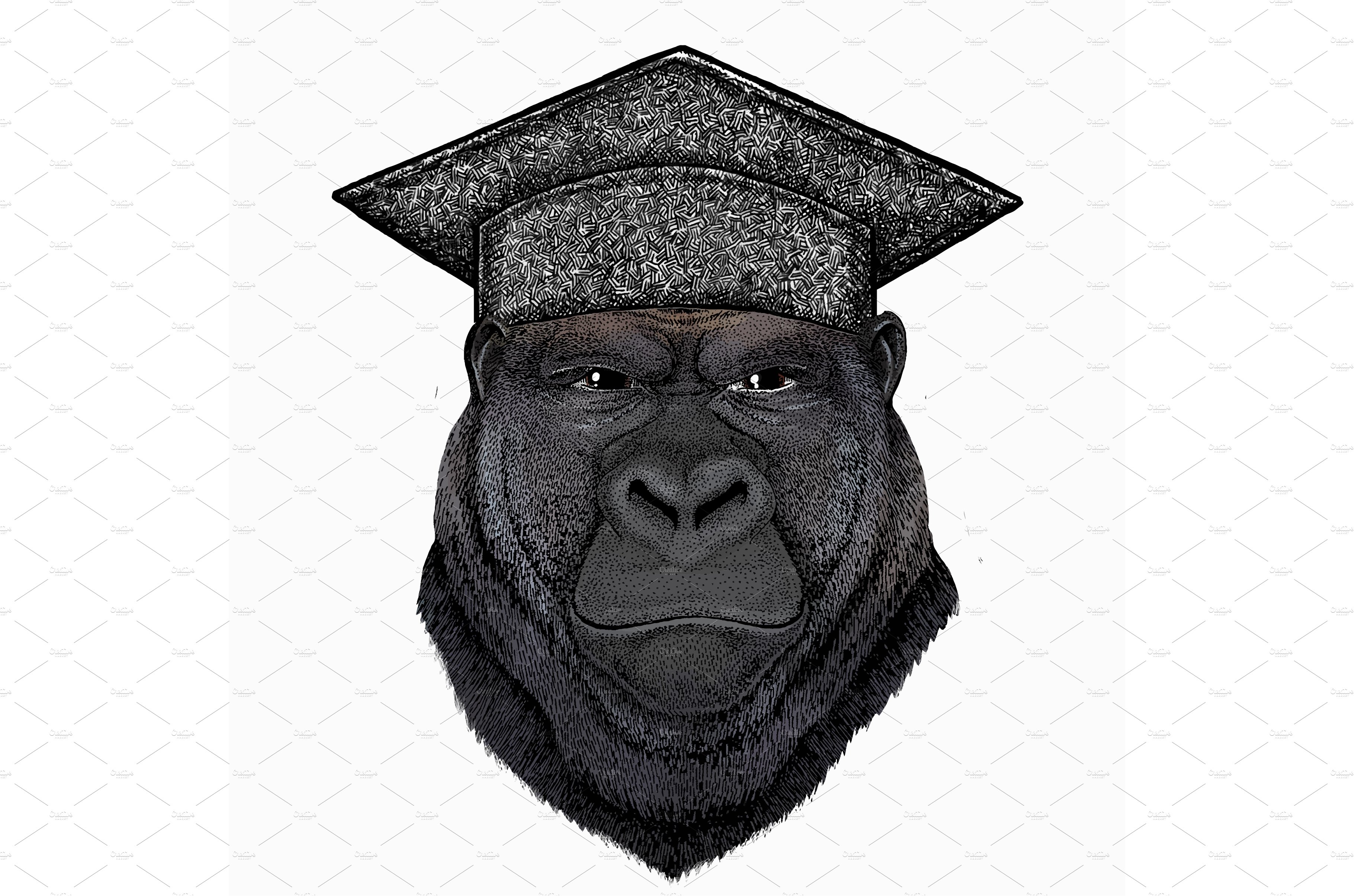 Gorilla head. Square academic cap cover image.