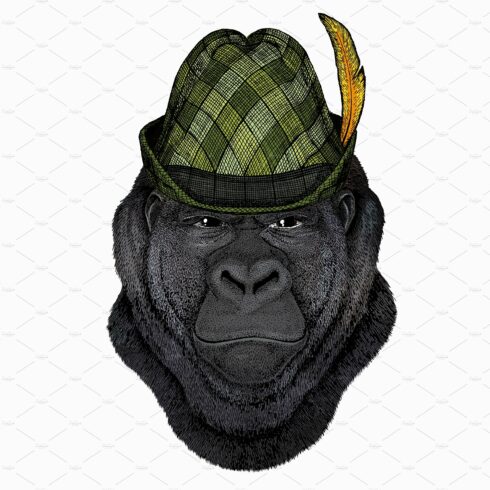 Gorilla head. Vector illustration cover image.