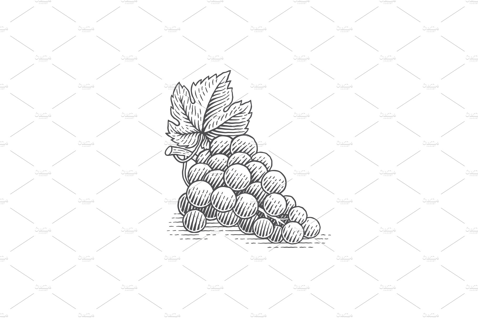 grapes 670