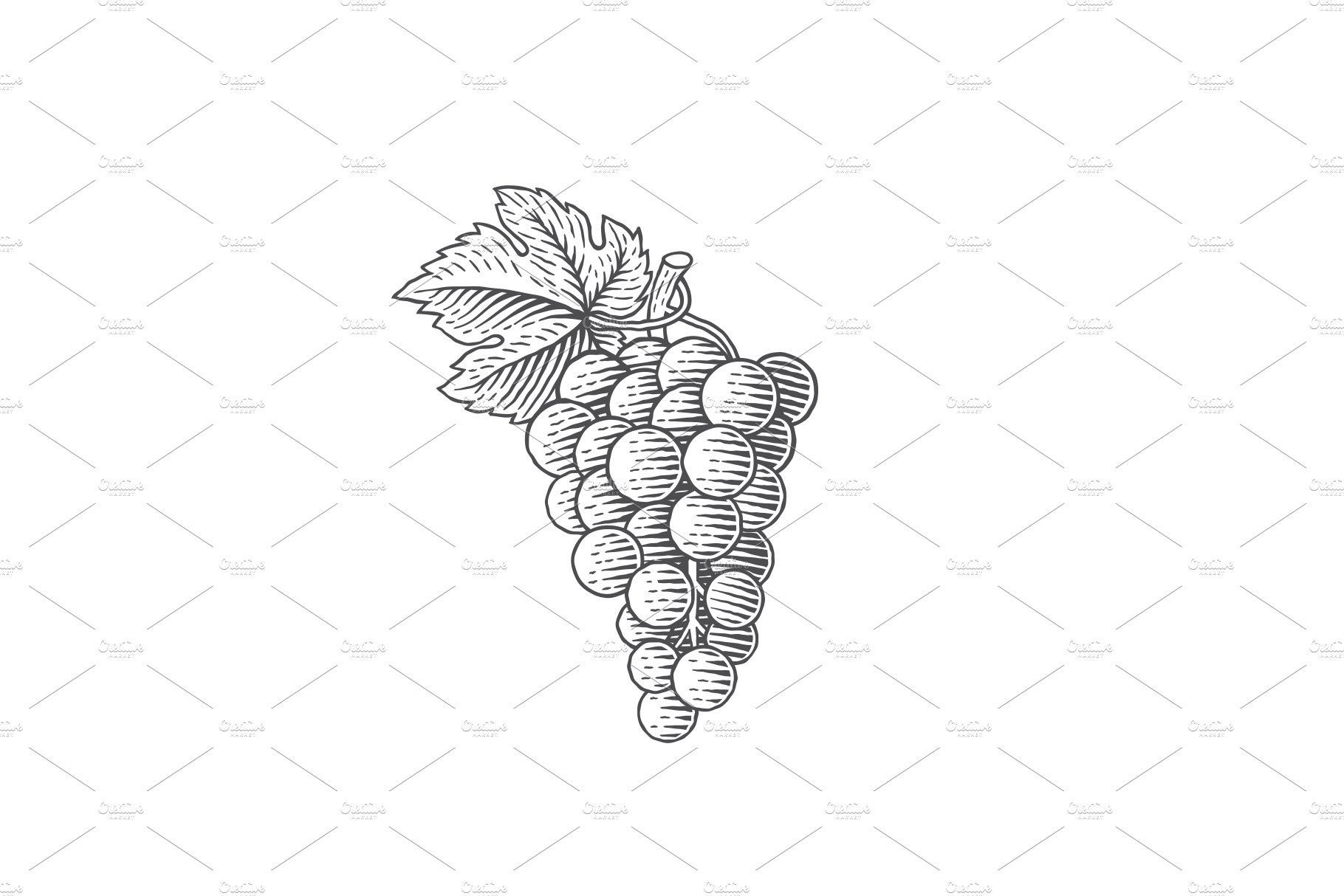 grapes2 515