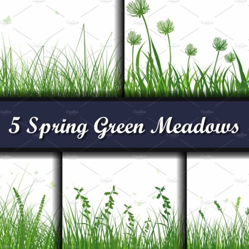 Green Grass Meadow cover image.