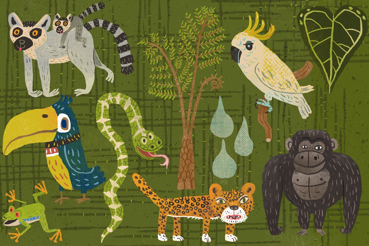 21 Rainforest Creatures & Plants preview image.