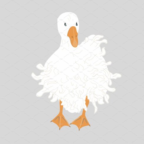Cute Sebastopol goose. Cartoon cover image.