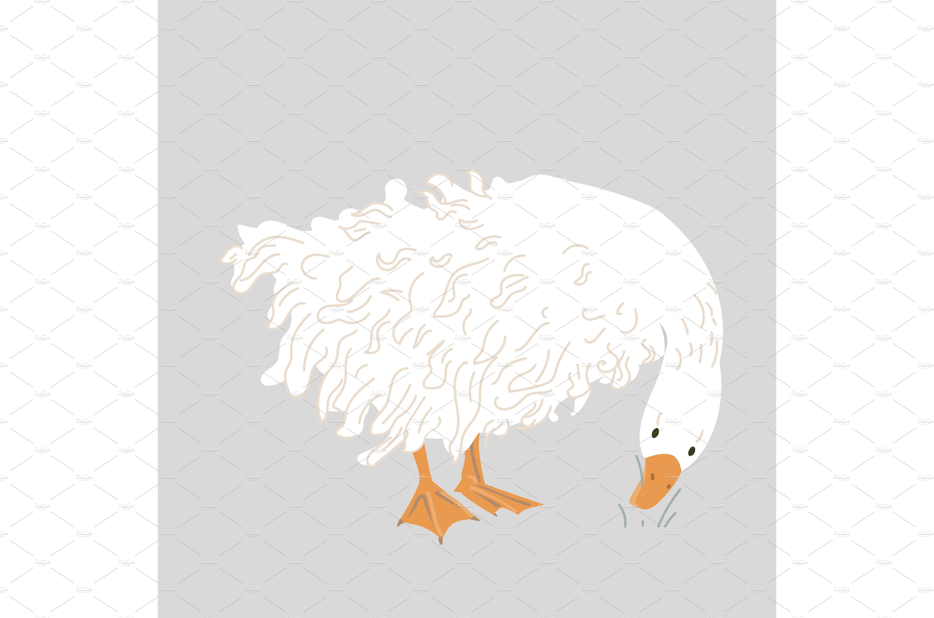 Cute Sebastopol goose. Cartoon cover image.