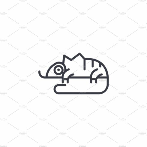 chameleon vector line icon, sign, illustration on background, editable strokes cover image.
