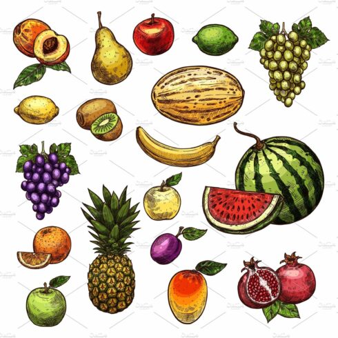 Fruits natural fresh organic sketch vector icons cover image.