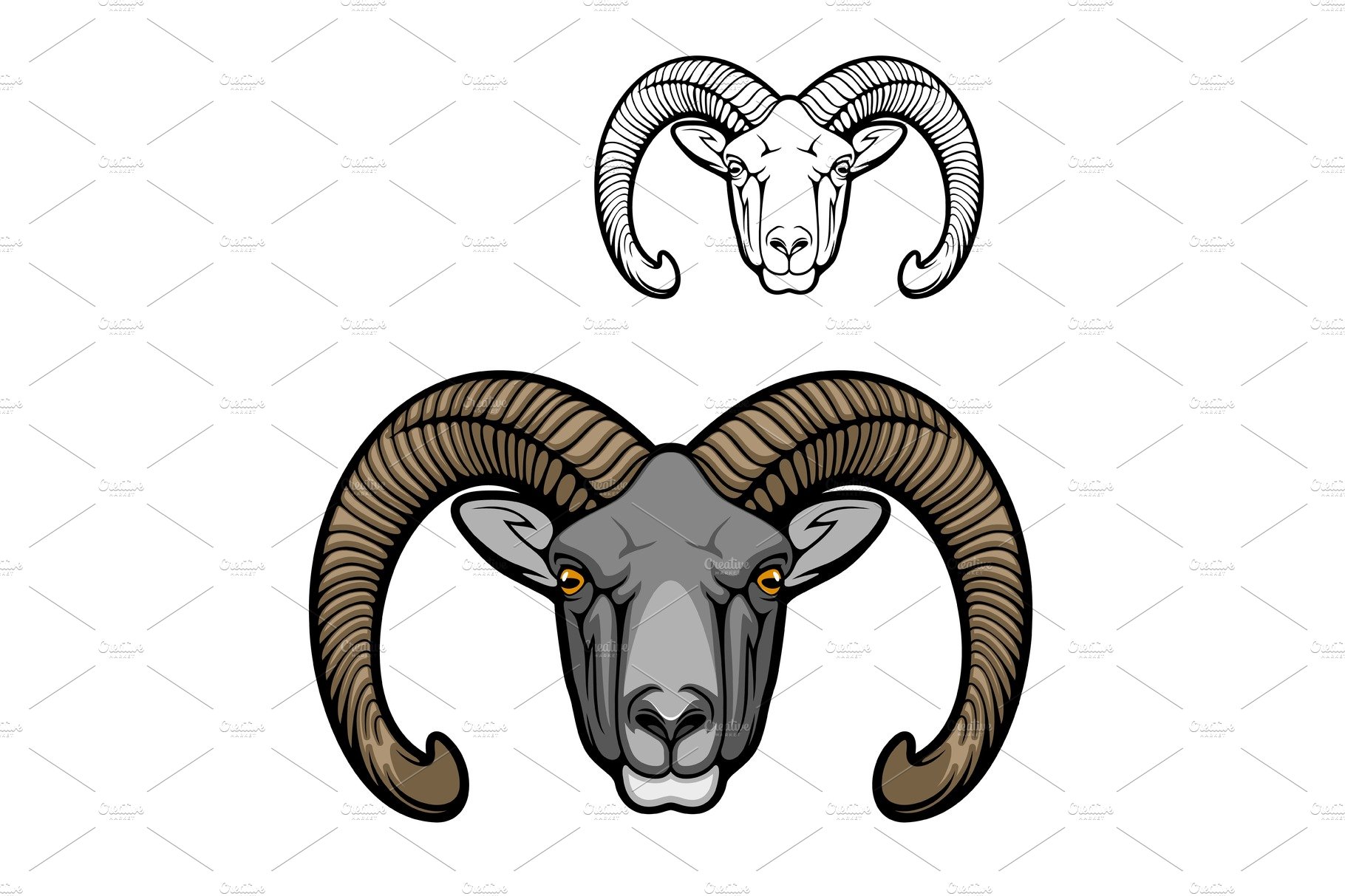 Wild mouflon sheep animal cover image.