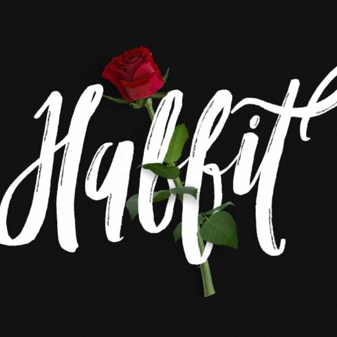 Habbit Typeface cover image.
