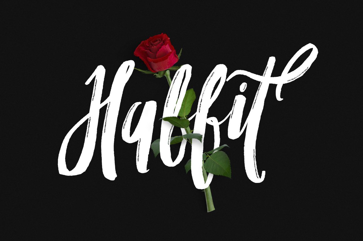 Habbit Typeface cover image.