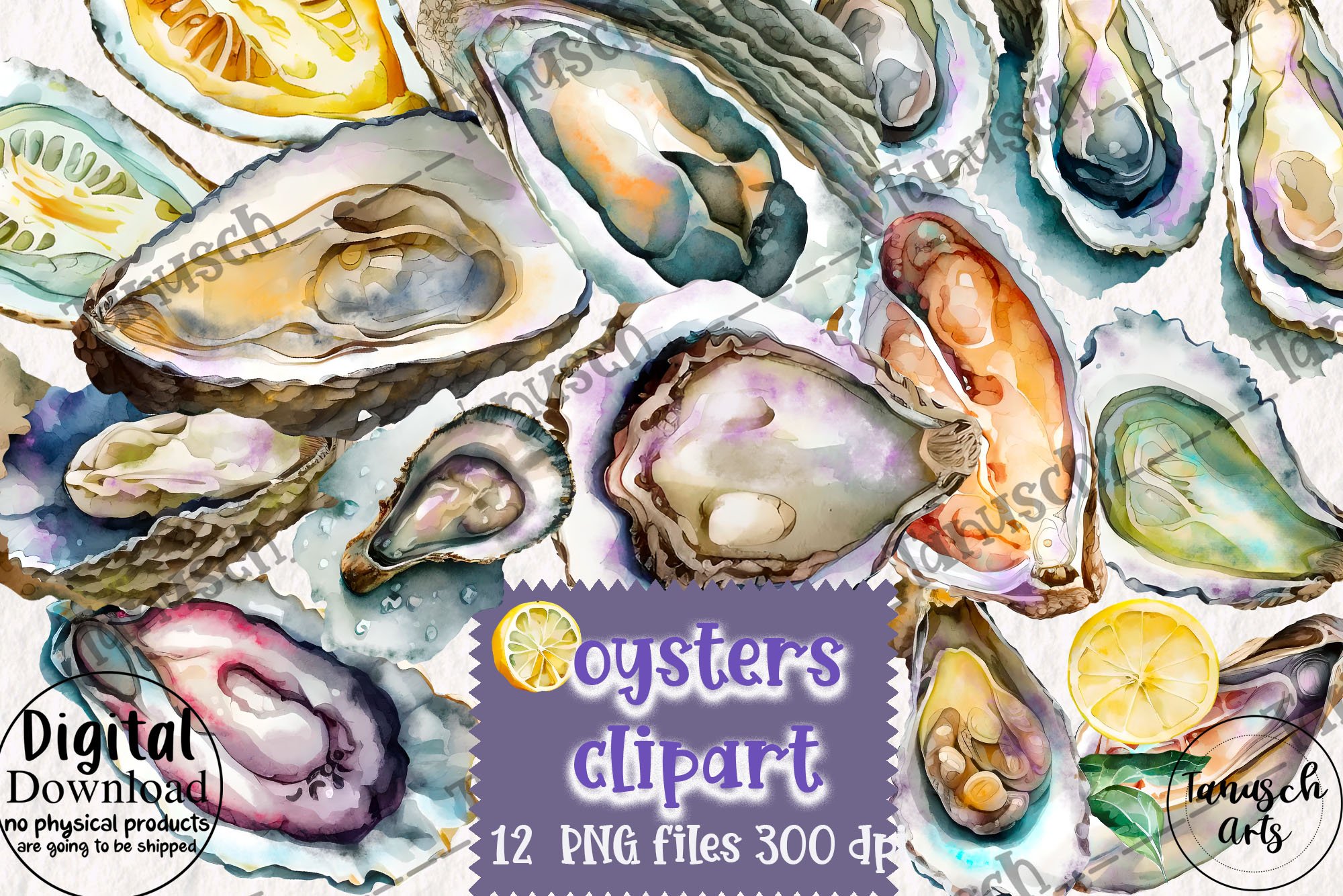 Watercolor oysters clipart cover image.