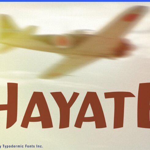 Hayate cover image.