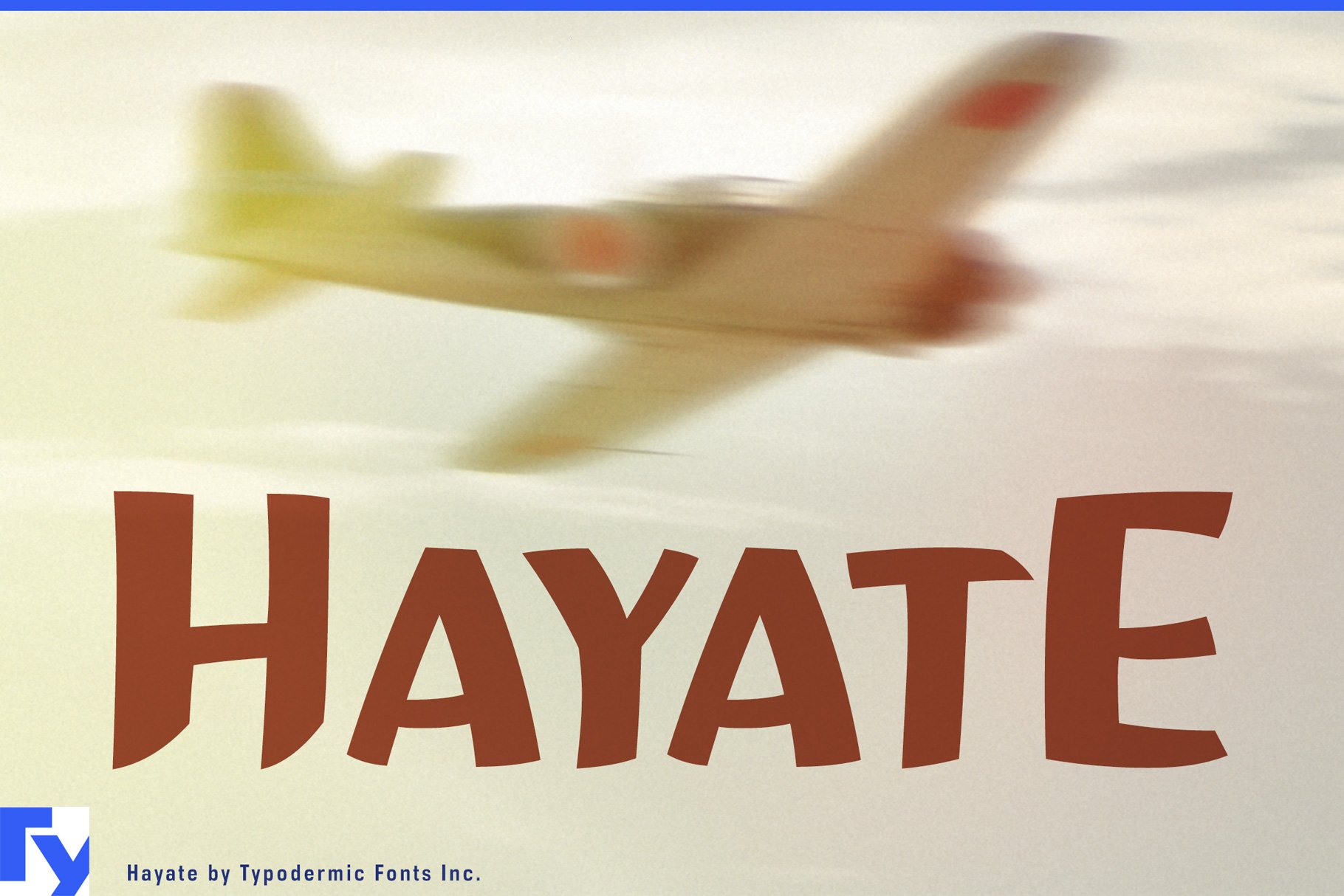 Hayate cover image.