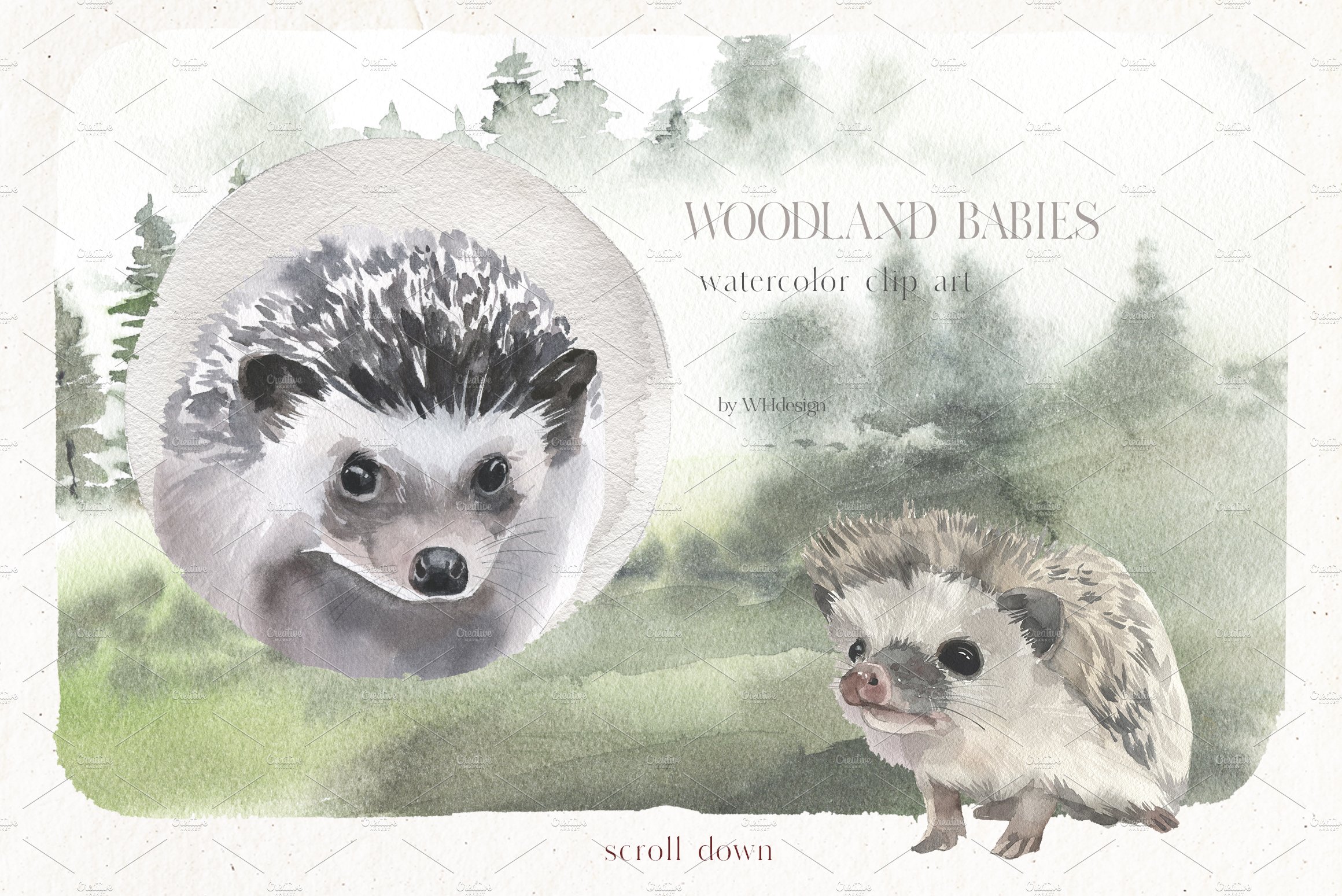 hedgehog baby watercolor clipart 1 348