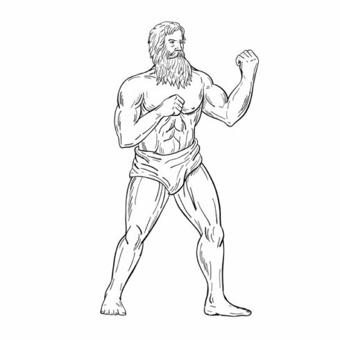 Bearded Boxer Fighting Stance Drawin cover image.