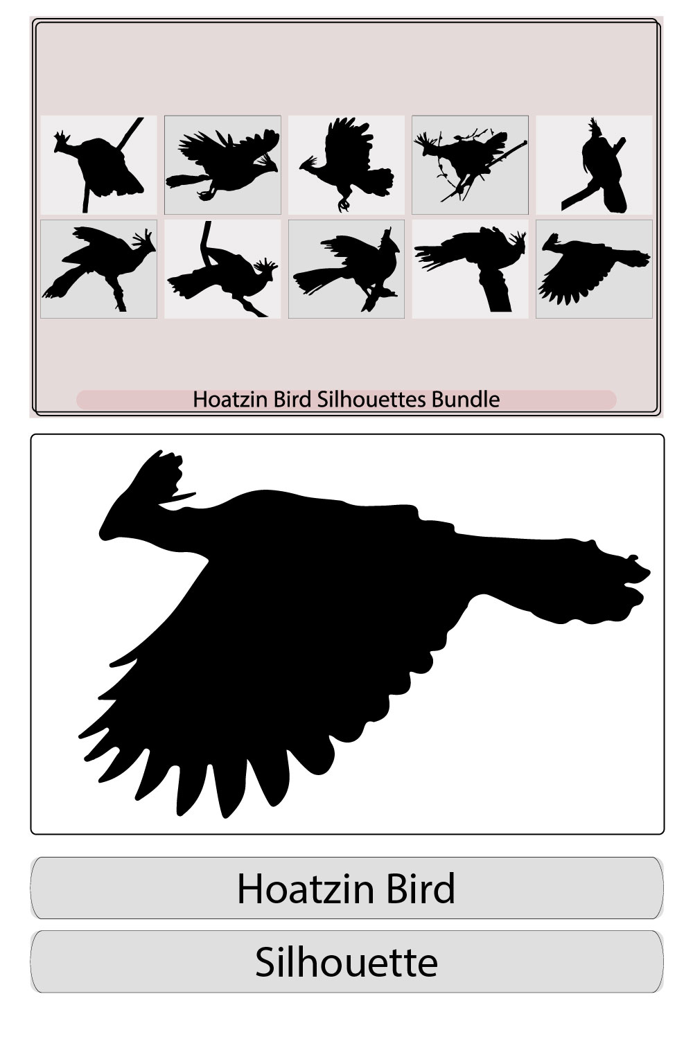 Hoatzin bird black silhouette vector,Cigana bird in profile view,Hoatzin bird Opisthocomus hoazin, Silhouetted pinterest preview image.