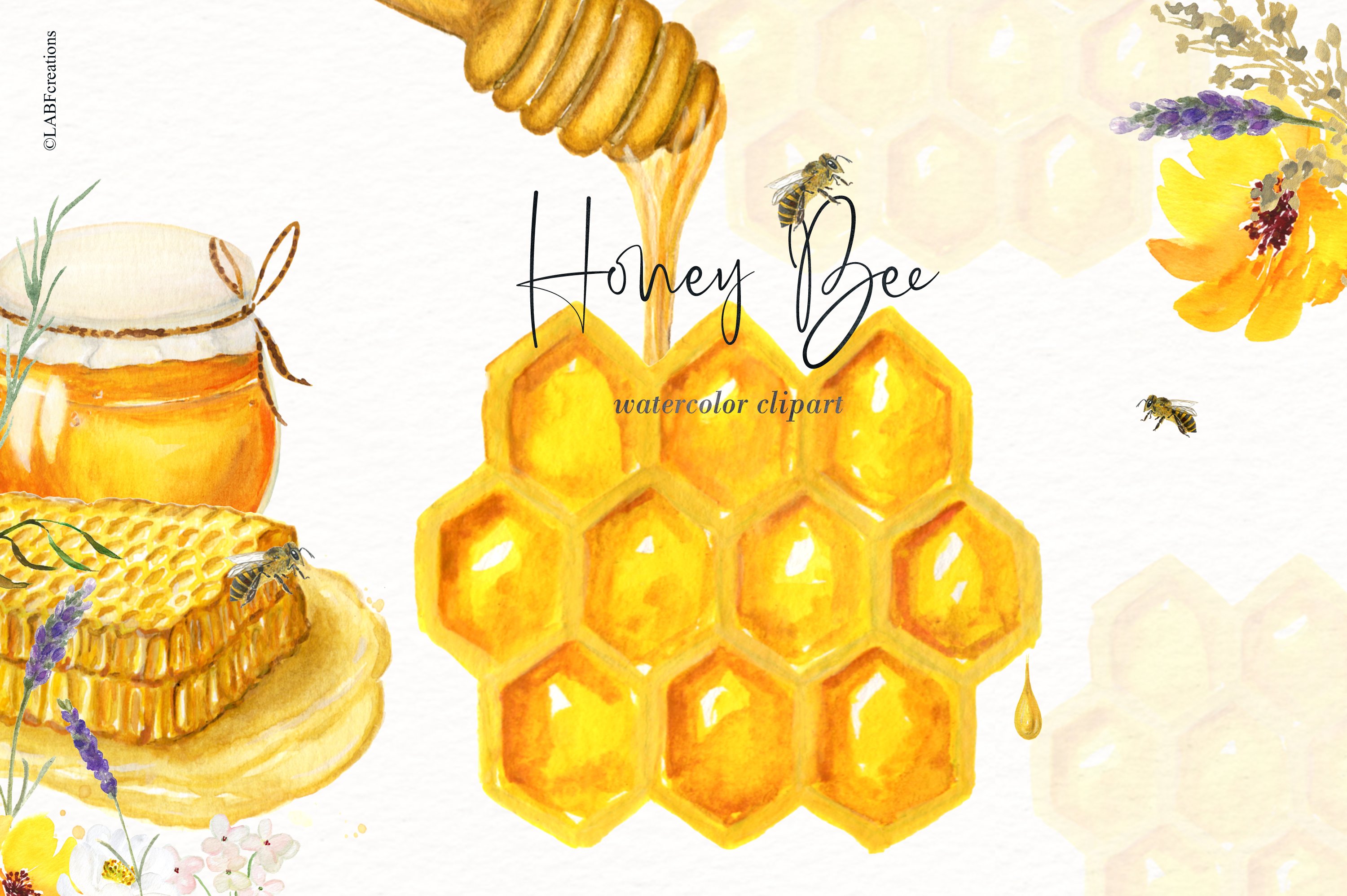 Honey Bee Watercolor preview image.
