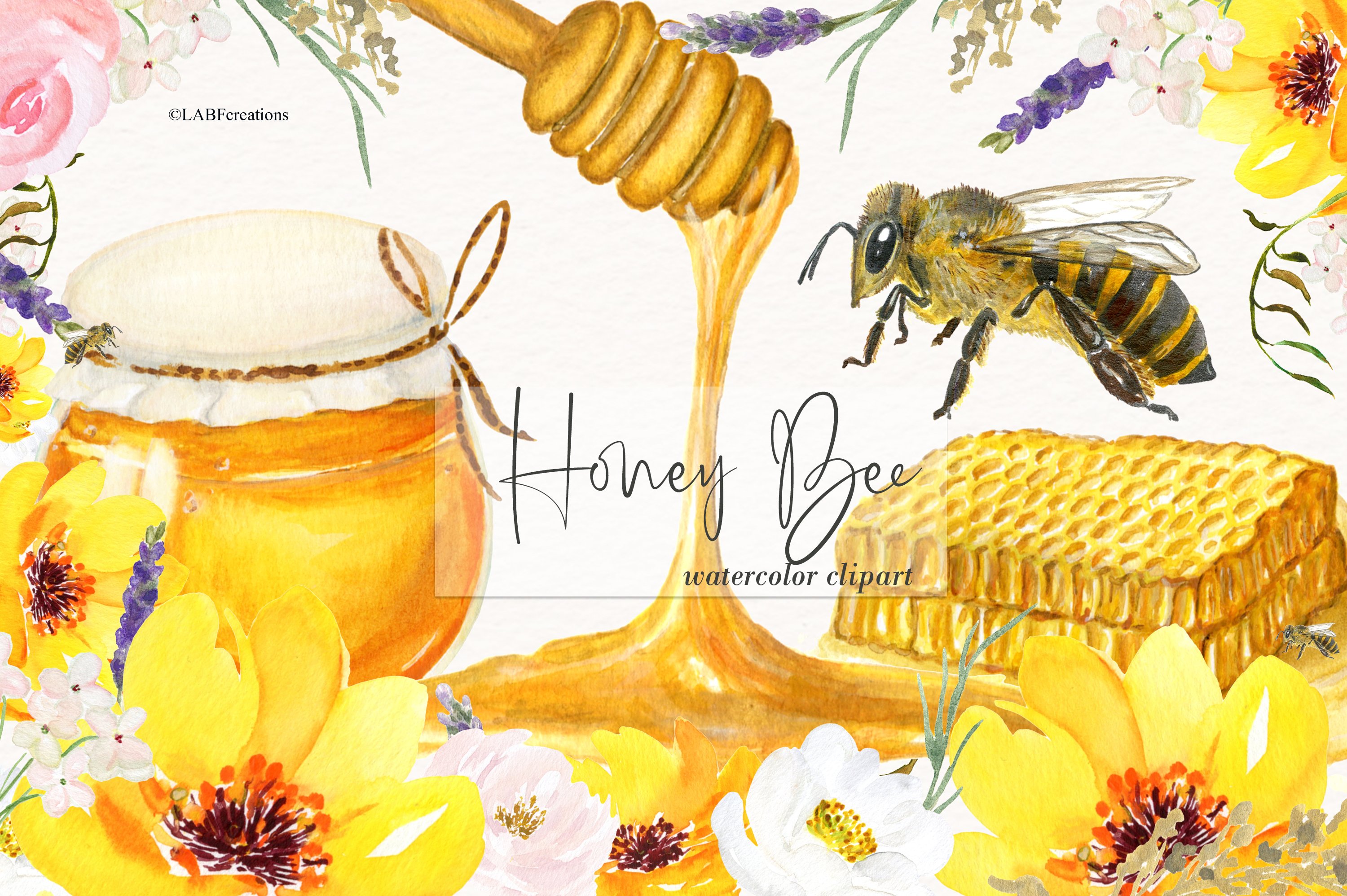 Honey Bee Watercolor cover image.