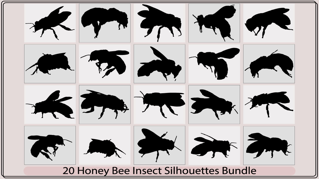 honey bee insectmb add media 930