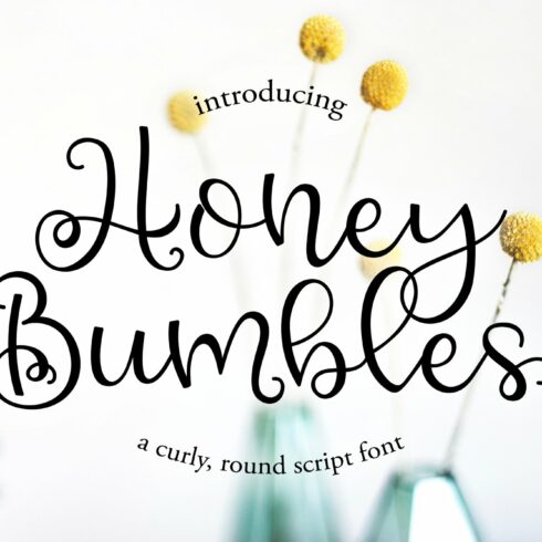 Honey Bumbles, a curly round script cover image.