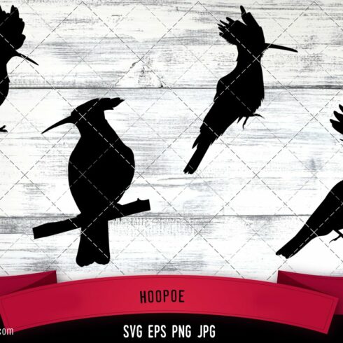 Hoopoe Silhouette Vector cover image.